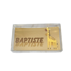 Cello doosje (rechthoek) met kleurenprint